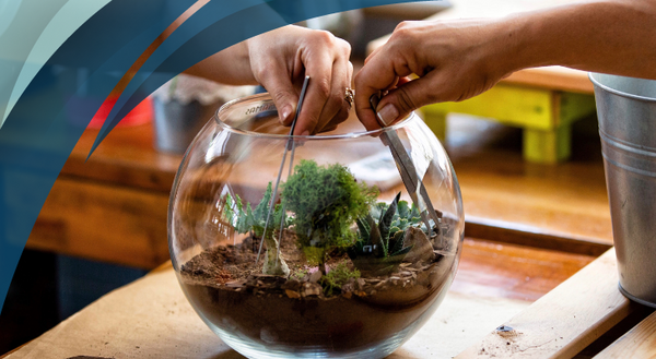 terrarium-baximi