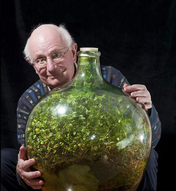 terrarium-nedir-ve-nece-yarandi