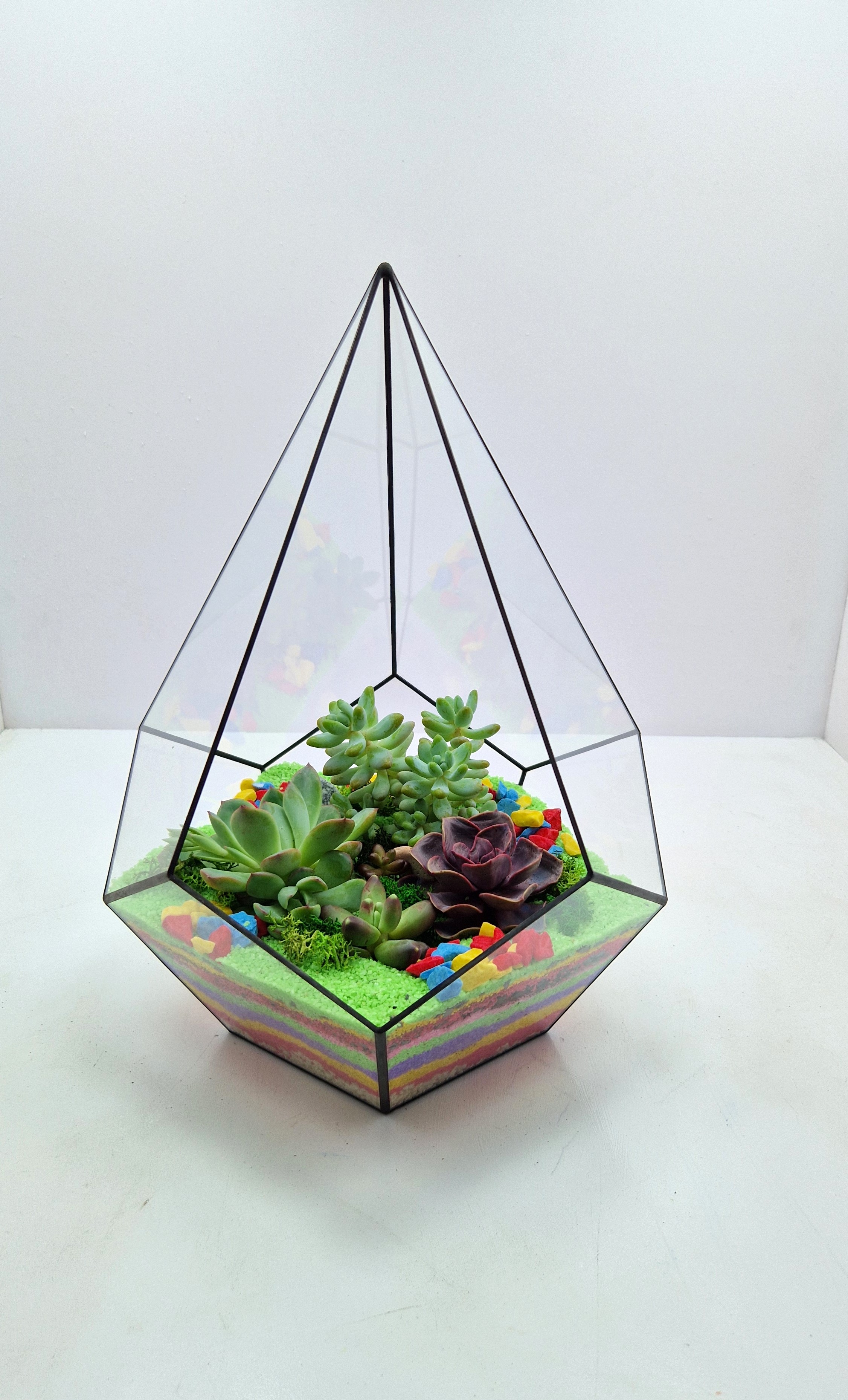 damci-formali-terrarium