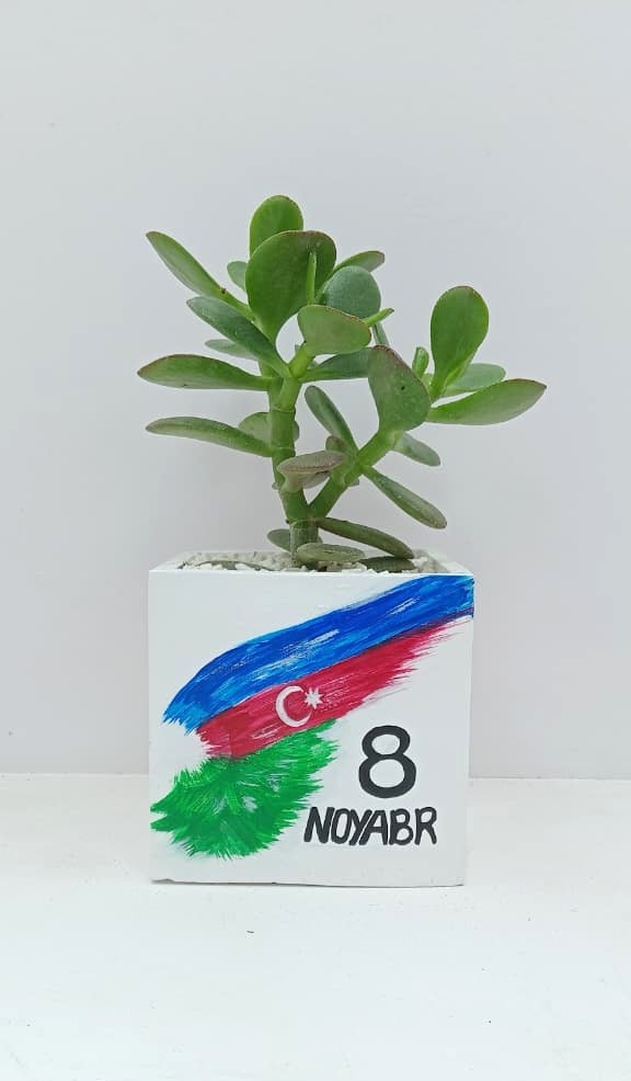 8-noyabr