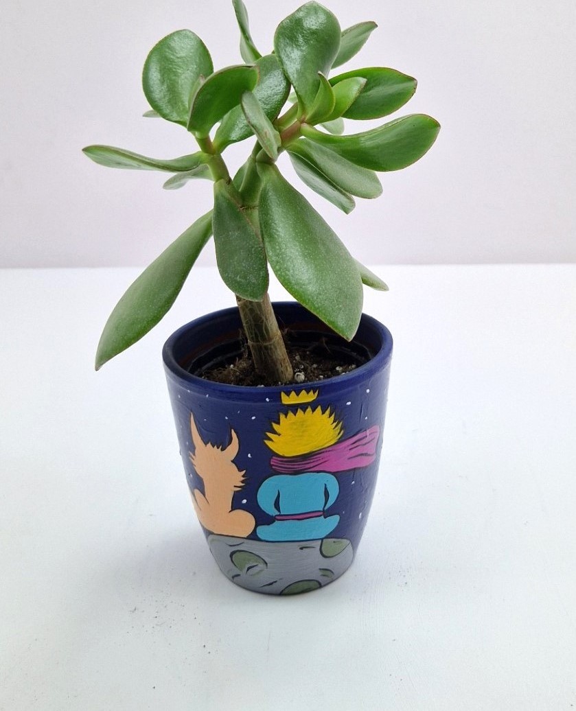 little-prince