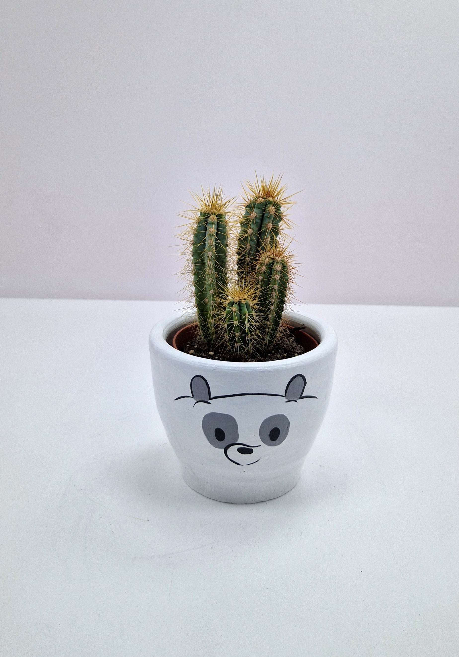 3-bears-panda