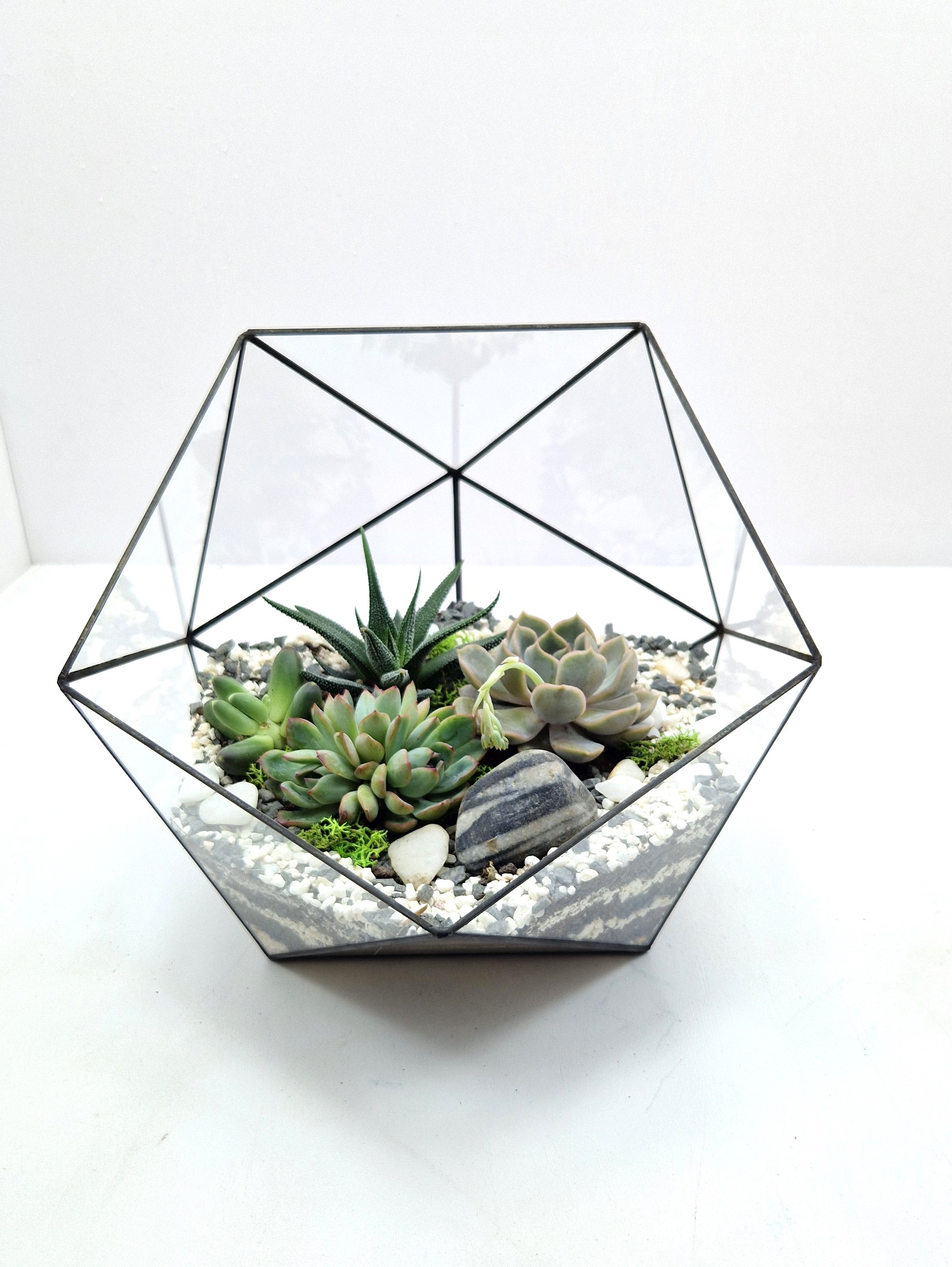 Ikosaedr-formali-geometrik-terrarium