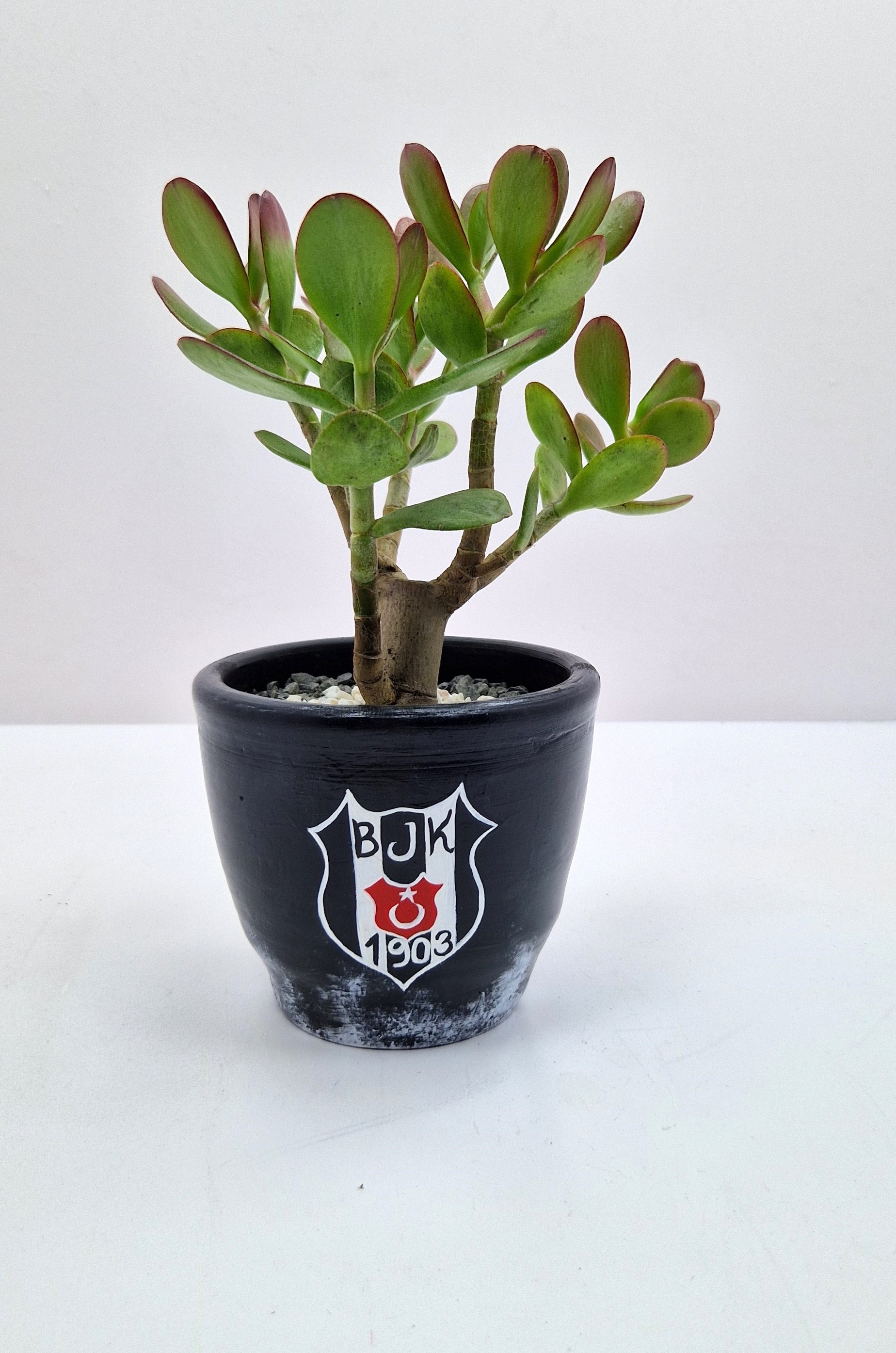 bjk