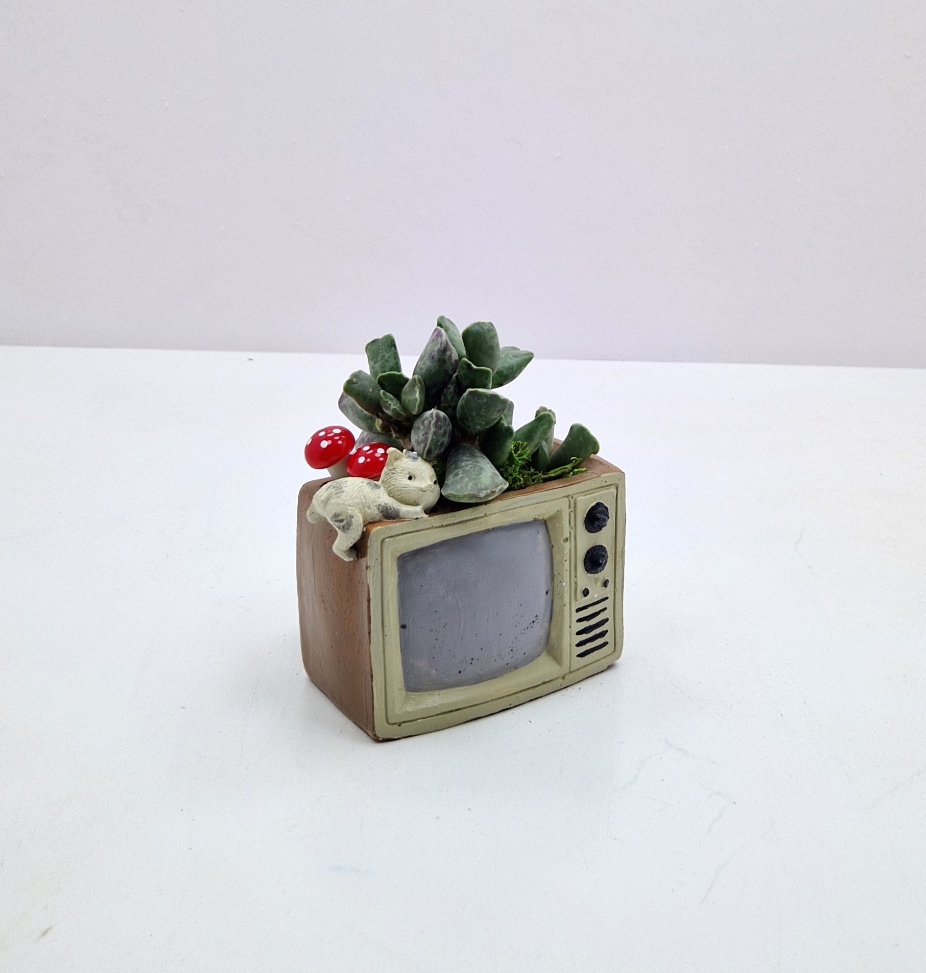 televizor